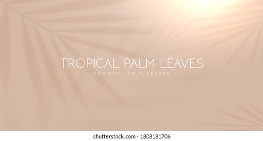 Tropical Palm Leaf Shadow On Light Pastel Background.  Vector Illustration.