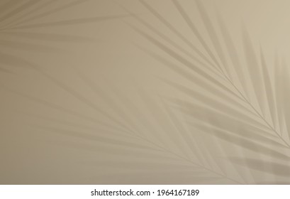 Tropical palm leaf shadow on light pastel background. vector illustration.