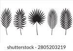 Tropical Palm Leaf Silhouette Collection, Feather Palm Leaf, Fan Palm Leaf, Coconut Palm Frond,