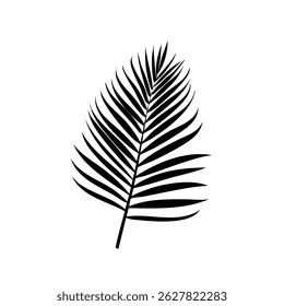 Tropical palm leaf silhouette, perfect for summer, beach, and exotic nature-themed designs