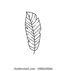 Tropical Palm leaf in a Trendy Minimalist Liner Style. Vector Illustration for printing on t-shirt, Web Design, beauty Salons, Posters, creating a logo