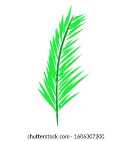 Tropical Palm Leaf Vector for Background