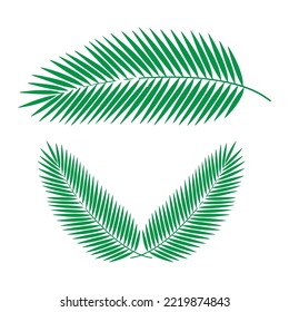 tropical palm leaf vector design