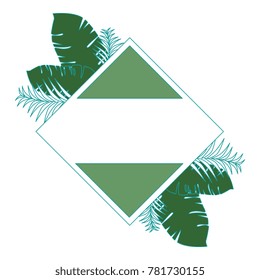 tropical palm leafs frame decorative