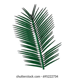 tropical palm leave jungle leaf floral