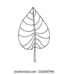 Tropical palm leave in sketch style, isolated vector illustration. Leave of palm tree in linear doodle style. Botanical minimalist print of exotic leave, sketch design.