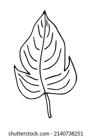 Tropical Palm Leave In Sketch Style, Isolated Vector Illustration. Leave Of Palm Tree In Linear Doodle Style. Botanical Minimalist Print Of Exotic Leave, Sketch Design.