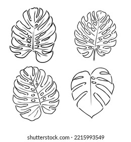 Tropical palm leave in sketch style, isolated vector illustration. Leave of palm tree in linear doodle style. Botanical minimalist print of exotic leave, sketch design.