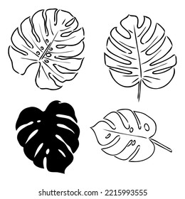Tropical palm leave in sketch style, isolated vector illustration. Leave of palm tree in linear doodle style. Botanical minimalist print of exotic leave, sketch design.