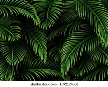 Tropical palm leaves background. Exotic dark green template for greetings, invitation, cosmetics or spa products, summer seasonal cards. Vector.