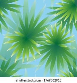 Tropical palm leaves, botanical vector illustration, seamless pattern. Flat style for spring and summer design. For paper, cover, fabric, gift wrap, wall art, home decor