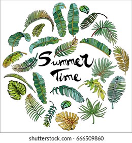 Tropical Palm Leaves In Circle. Exotic Leaf Background. Hand Drawn Illustration With Summer Time Lettering.