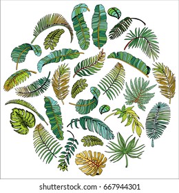 Tropical Palm Leaves in Circle. Exotic Leaf Background. Hand Drawn illustration.