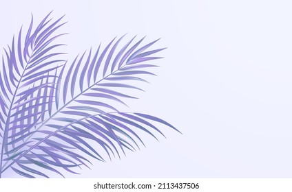 Tropical palm leaves corner design color background