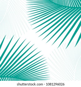 Tropical palm leaves for cover background. Vector illustration.