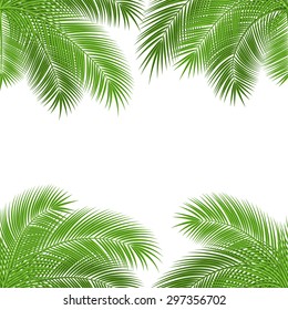 Tropical palm leaves. design background. vector illustration