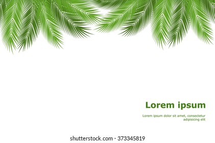 Tropical palm leaves. design background. vector illustration