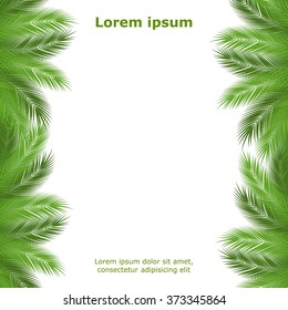 Tropical palm leaves. design background. vector illustration