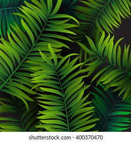 Tropical palm leaves design for text card. Vector illustration EPS10