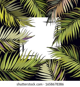 Tropical palm leaves. Exotic graphic background. Frame in trendy graphic design style for banner, flyer, invitation, poster, website or greeting card. vector illustration