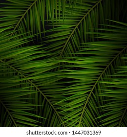 Tropical palm leaves. Exotic palms tree. Dark Floral Backgrounds