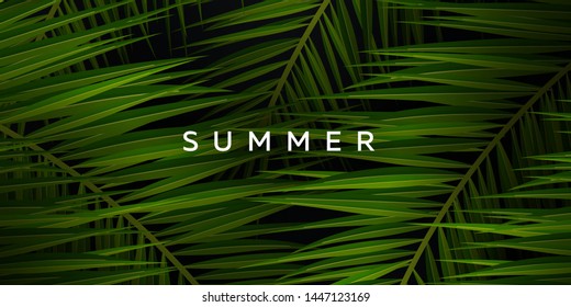 Tropical palm leaves. Exotic palms tree. Dark Floral Backgrounds