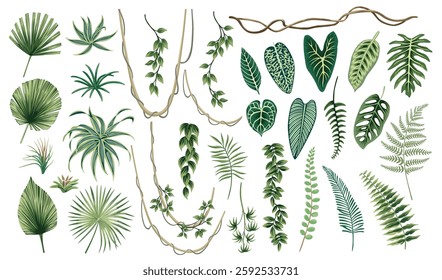 Tropical palm leaves, fern, plants, liana floral set. Exotic botanical elements.	