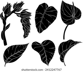 Tropical palm leaves and flowers, jungle plants silhouettes. Vector set