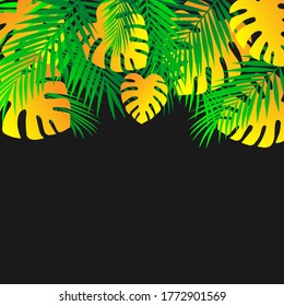 Tropical palm leaves frame Botanical vector illustration. Exotic nature of a map or banner with space for text isolated on a black background. Jungle green and yellow leaf flower pattern. 