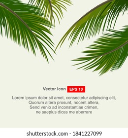 Tropical palm leaves frame botanical vector illustration. Exotic nature card or banner with frame for text isolated on white background. Jungle green leaf floral pattern. 