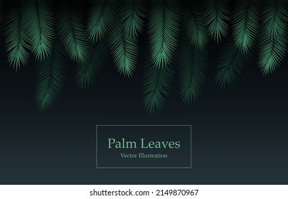 Tropical palm leaves frame botanical vector illustration. Exotic nature card or banner with top borderof jungle green palm leaf floral pattern. Tropical cocnut palm leaves card with dark background.