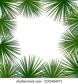 Tropical Palm Leaves Frame Botanical Vector Stock Vector (Royalty Free ...