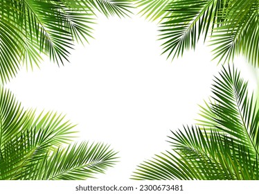 Tropical Palm Leaves Frame Isolated White Background With Gradient Mesh, Vector Illustration