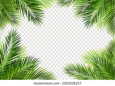 Tropical Palm Leaves Frame Isolated Transparent Background  With Gradient Mesh, Vector Illustration