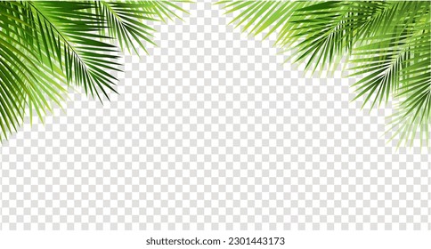 Tropical Palm Leaves Frame And Isolated Transparent Background  With Gradient Mesh, Vector Illustration