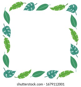 
Tropical palm leaves frame on white background