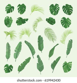 tropical palm leaves hand drawn vector set