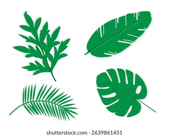Tropical palm leaves isolated. Banana leaves Monstera plant leaves vector set. Summer forest branches collection. Leaf elements in flat design style