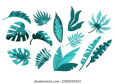 Tropical palm leaves, jungle leaves, botanical density, protein density.
Set of vector palm tropical leaves
