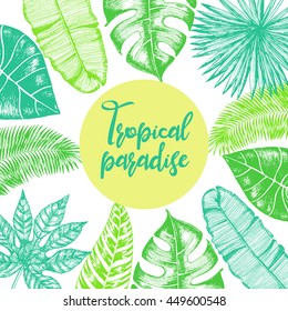 Tropical palm leaves. Jungle bright design template. Vector illustration