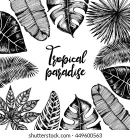Tropical palm leaves. Jungle design template. Vector illustration drawn in ink.