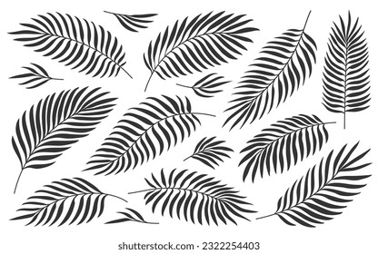 Tropical palm leaves. Jungle foliage black silhouette set isolated on white. Exotic nature plant leaf for wedding greeting cards foil DIY laminating wrappers. Hand drawn tropic summer floral stamp