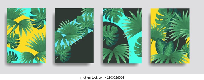 Tropical palm leaves, jungle leaf cover templates. Vector exotic summer background. Promotion offer with tropical plants .Trendy botanical floral cover templates. Colorful tropical leaf patterns.