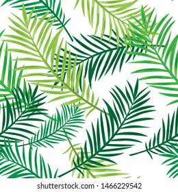 Tropical palm leaves, jungle leaf vector seamless floral pattern background