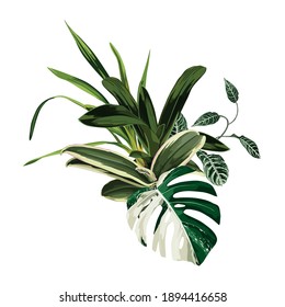 Tropical palm leaves, jungle leaf, orchid plant. Exotic illustrations, floral elements isolated, Hawaiian bouquet for greeting card, wedding, wallpaper.