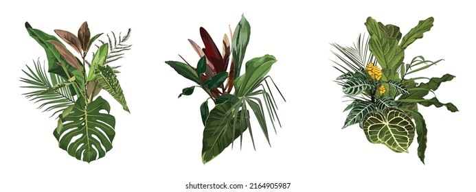 Tropical palm leaves, jungle leaf, exotic plant. Exotic illustrations, floral elements set, Hawaiian bouquet for greeting card, wedding, wallpaper.