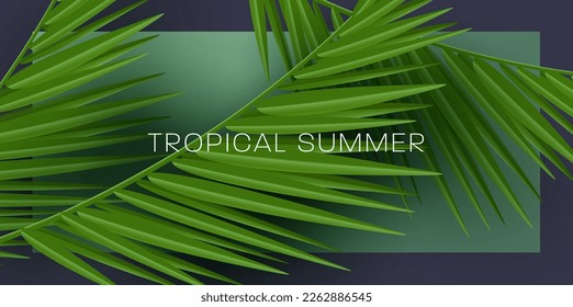 Tropical palm leaves, jungle palm leaf frame on dark backdrop, modern wallpaper illustration