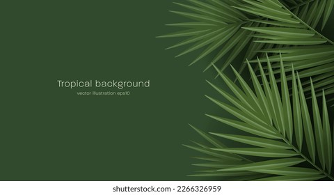 Tropical palm leaves, jungle palm leaf creating texture, modern wallpaper with copy placement