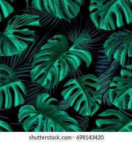 Tropical palm leaves, jungle leaf seamless vector floral pattern background