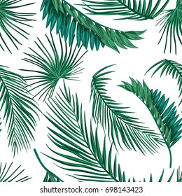 Tropical palm leaves, jungle leaf seamless vector floral pattern background